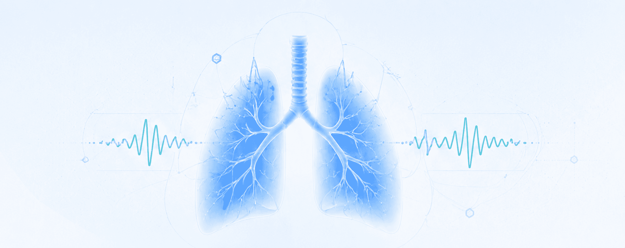 Illustration of lungs representing Kylunghealth respiratory health screening