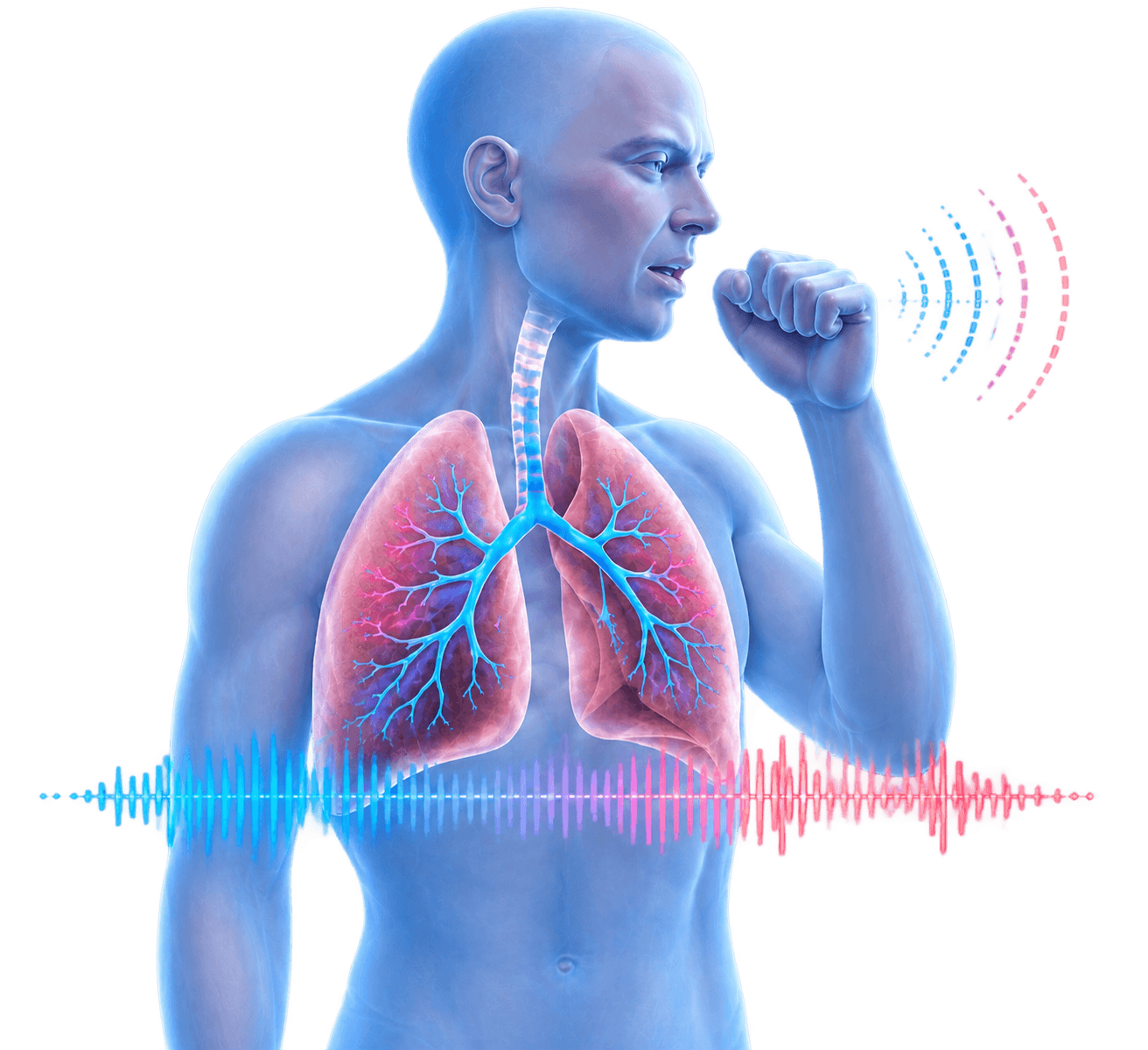 Kylunghealth illustration of a person coughing with highlighted lungs